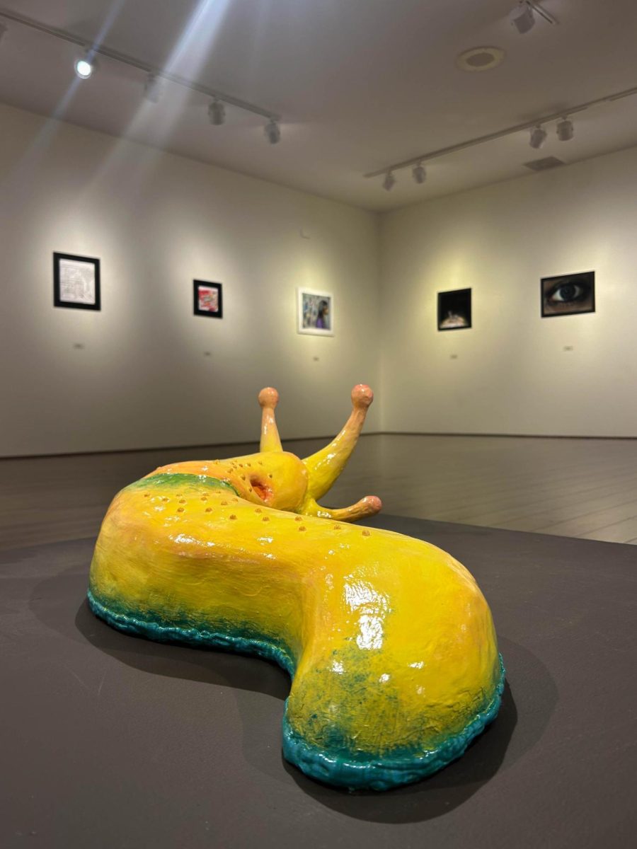 Joliet area high school art was featured in the JJC art gallery in November. 